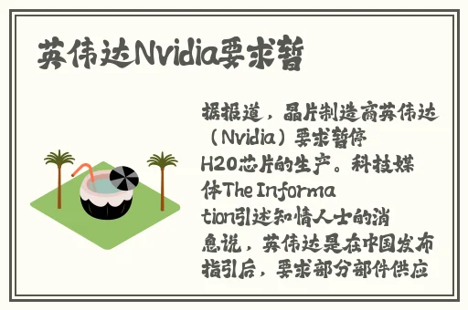 小猪视频app官网ios